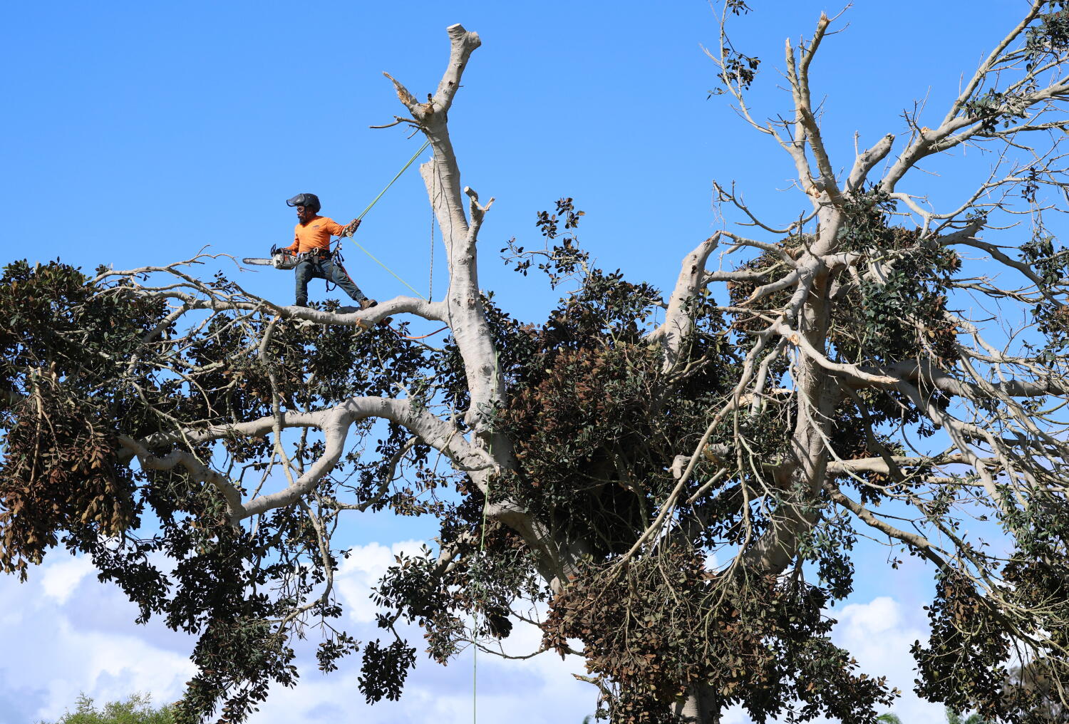 Violent winds hit San Clemente just days after destructive wildfire, powerful waves