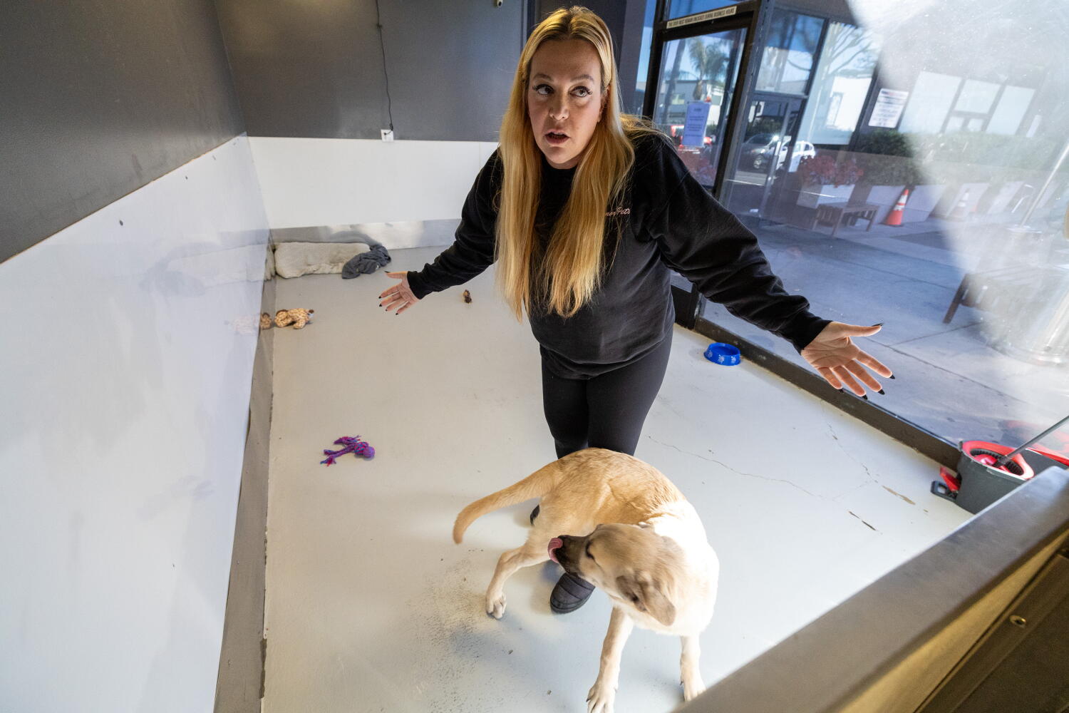 Dog rescue favored by celebrities is an 'illegal commercial enterprise,' L.A. claims