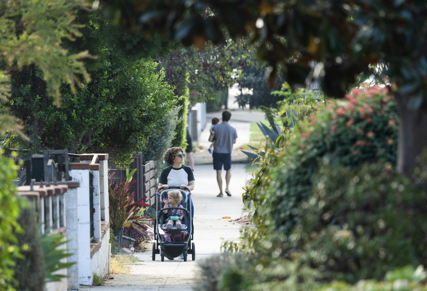 Neighbor who allegedly fed coyote involved in Atwater Village attack could be charged